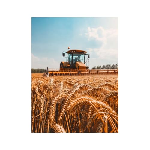 �������G �n�[�x�X�^�[ �����h��G�� 70x50CM �L�����o�X ���G�Z�b�g ��� ������ �G���|�L�b�g �A�N�����G�̋� Paint by Numbers �G�� �E�H�[���A�[�g �C���e���A �̂��߂� Room Decoration Items �a�����v��