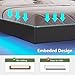 Dnxao Floating Bed Frame,King Bed Frame with Storage Headboard, King Platform Bed Frame with LED Lights and Charging Station, Noise Free, No Box Spring Needed,Quick Assembly,PU Black