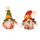 2 Stück gesichtslose Zwergenpuppen, Herbst-Zwerg-Dekoration, für Thanksgiving, Tischdekoration für Herbsternte, niedliche Stoffpuppe, rustikale Heimdekoration, saisonales Partyzubehör, Grün (Grün +