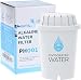 PH001 Alkaline Water Filter - Replacement Water Filter By Invigorated Water - Ionized Water Filter Cartridge - For Invigorated Living Pitcher, Ionizer, 96 Gallon Capacity (1 pack)