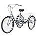 Viribus Dreirad für Erwachsene Dreirad 24 Zoll Fahrrad mit Korb 3 Rad Fahrrad für Erwachsene Adult Tricycle 3-Rad-Dreirad (Grau Ohne Frontkorb)