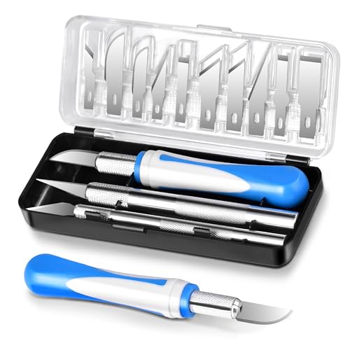 Zruosiniy 16 Pcs Premium Precision Craft Knife Set, 10 Replaceable Carbon Steel Blades, Hobby Knife for Scrapbooking, Stencil, Architecture, Wood/Leather Working