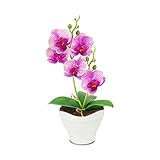 The Bloom Times Artificial Flowers Fake Plants Silk Plastic Artificial Simulation Butterfly Orchids