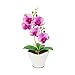The Bloom Times Artificial Flowers Fake Plants Silk Plastic Artificial Simulation Butterfly Orchids (Red)