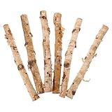 Polyvalents et pratiques : pour diverses applications telles que la décoration, les projets de bricolage et les compositions , bâtonnets de bois naturels pour le bricolage, brindilles sèches décoratives