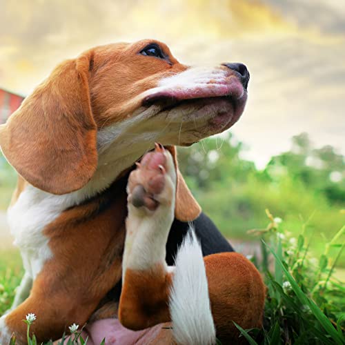 Pet MD Topical Wipes for Dogs and Cats - 100 Count - Thumbnail 3