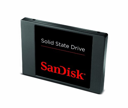 Build My PC, PC Builder, SanDisk SDSSDP-256G-G25