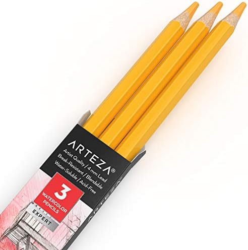 ARTEZA Professional Watercolour Pencils, Pack of 3, A154 Koala Gray, Water-Soluble Pencils for Colouring, Blending, Layering & Watercolour Techniques