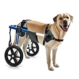 Hunderollstuhl für Hinterbeine - Hunderollstuhl (groß)