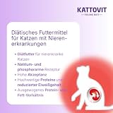 KATTOVIT - Niere/Renal Multipack Nassfutter für Katzen | Zur Unterstützung der Nierenfunktion für ausgewachsene Katzen. Diätfutter als Alleinfuttermittel im Frischebeutel | 12 x 85g