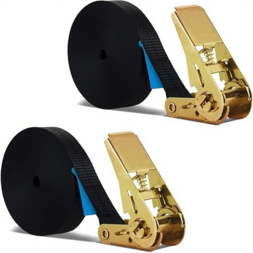 2 cinghie di fissaggio lunghe 15 m con lucchetto a cricchetto, Basicon 800 kg, cinghie di ancoraggio a cricchetto, 25 mm di larghezza con cinghia di fissaggio a cricchetto, cinghie di fissaggio