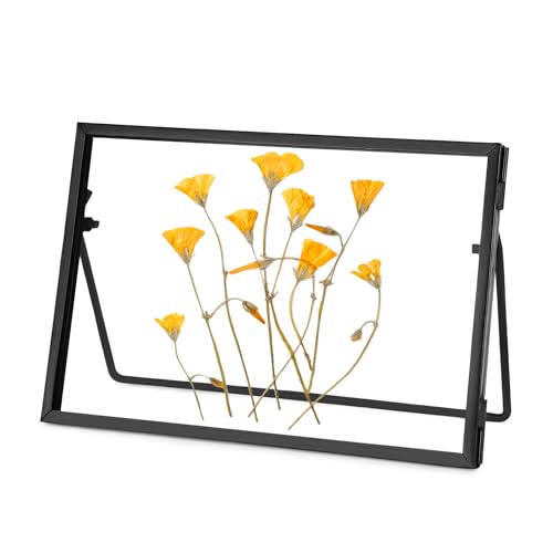 REDHUGO Glass Pressed Flower Frame Handmade, Glass Picture Frame Tabletop Floating Picture Frames Brass Photo Desk Frame for DIY Dried Flowers Home Plant Specimen, Rectangle Horizontal (FRAME ONLY)