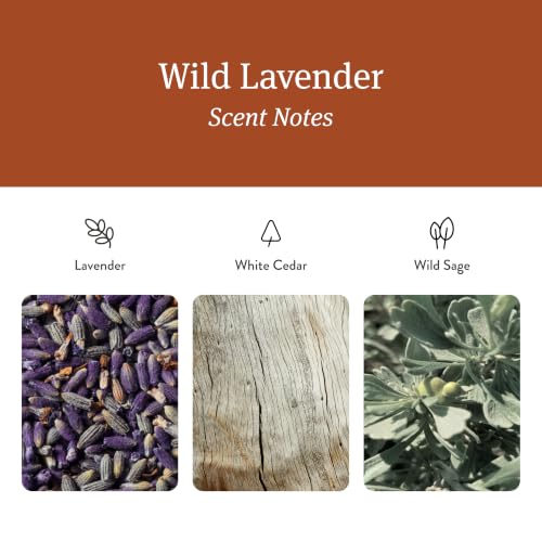 Drift Home Scent Diffuser Refills in Wild Lavender (2 Refills) - Adjustable and Long Lasting Diffuser Aroma - Clean Ingredients, Pet Safe by drift - Used condition - Image 3