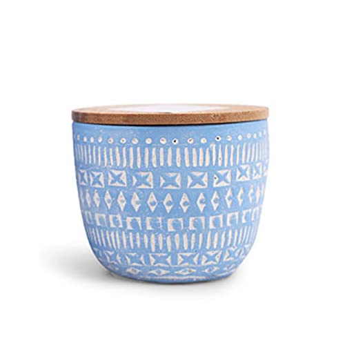 Paddywax Sonora Collection Scented Candle, 10 Oz, Wisteria And Willow #TOP11