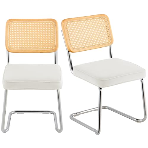 VEVOR Rattan Chairs Set of 2, Mid Century Modern Dining