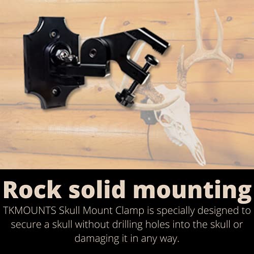 Tkmounts European Skull Mount Hanger - Secure Clamp, Fully Adjustable Angle, Easy Wall Mount For Deer, Bear, Antelope, Mid-Size Skulls #TOP1