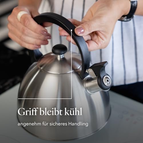 FLORINA Wasserkessel (2,5 l) I Edelstahl Teekessel BRILLO I Flötenkessel mit Bakelitgriff I Kratzfester I Wasserkocher für Induktionsherd, Gasherd und Elektroherd I Farbe: Silber