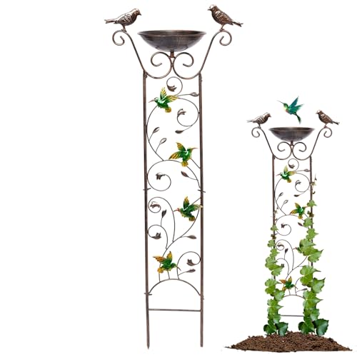 Colibri et oiseaux : bain d'oiseaux en métal avec treillis de jardin intégré