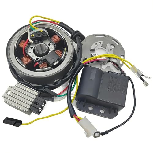 Volant d'inertie 14-17mm 85W pour optimiser l'allumage horaire Sa 50s