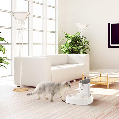 isyoung cat fountain