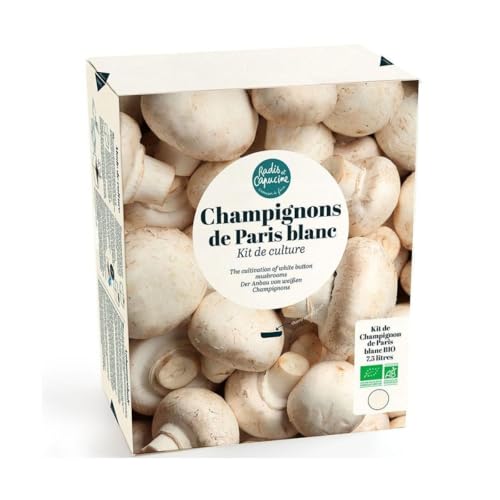 Radis et Capucine – Kit de cultivo – Champiñones de Paris Blanc – 7,5 L