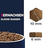 Eukanuba Hundefutter mit frischem Huhn für kleine Rassen, Premium Trockenfutter für ausgewachsene Hunde, 3 kg