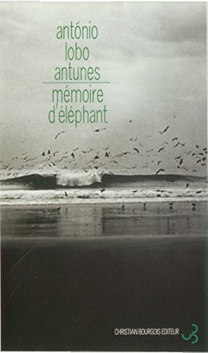 Mémoire d'éléphant (LITTERATURE ETRANGERE)