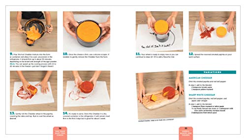 One-Hour Dairy-Free Cheese: Make Mozzarella, Cheddar, Feta, and Brie-Style Cheeses--Using Nuts, Seed