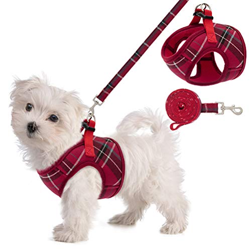 Soft Mesh Small Dog Harness with Leash - Basic Plaid Padded Chest Vest for Kitties, Puppy, Small Pets