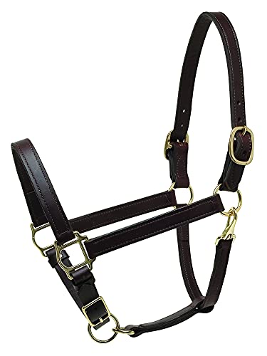 Perri's Horse 1-Inch Turnout Halter, Havana #TOP16
