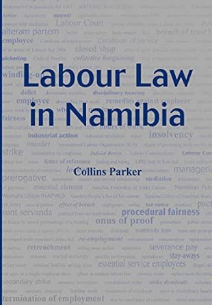 Labour Law in Namibia-Wow! eBook