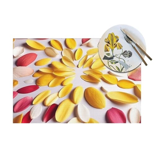 Lot de 6 sets de table lavables PVC tissé résistant chaleur - 8