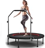 Fitness-Trampolin 102 cm für Erwachsene mit Haltestange, 3-Fach höhenverstellbar, leise Bungee-Seile, bis 150 kg belastbar (Schwarz)