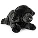 GUND Black Labrador Medium 14" Plush