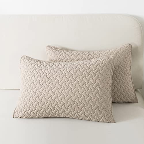 B2Ever Beige Queen Size Quilt Bedding Sets With Pillow Shams, Lightweight Soft Bedspread Coverlet, Quilted Blanket Thin Comforter Bed Cover For All Season Spring Summer, 3 Pieces, 90X90 Inches #TOP5