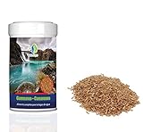 GAMMARUS COMPLEX - Receta en formato Camarones que facilita la digestión de su tortuga. Esta comida tortuga aportara todo los nutrientes necesarios para favorecer su crecimiento y desarrollo. Alimento liofilizado totalmente natural rico en nutrientes