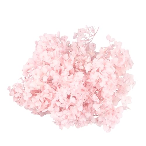 HOMSFOU Pétalos Secos de Hortensia para Decoración miniatura 3