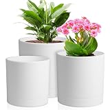 Meowell 6/5/4 inch Flower Pots, Pack of 3 Cylinder Plant Pots for Small Indoor Outdoor Plants, Plastic Planters with Drainage Holes and Saucers for Garden Succulent Nursery House Plants, White