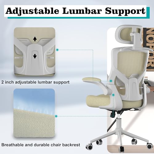 FOKESUN Ergonomic Office Chair, High Back Mesh Desk Chair with Molded Foam Cushion, Adjustable Headrest, Lumbar Support, Lock Function (All Beige)