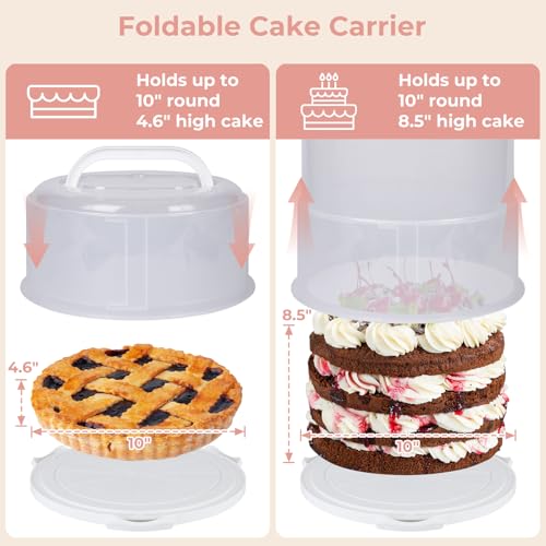 Targihoemt Foldable Cake Carrier, Holds up to 10in Round and 8.5in High Cake, with Lid and Handle by Targihoemt - Image 3