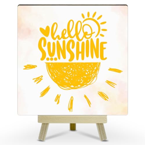 Funny Home Decor, Summer Decorations for Office, Summer Decorations for Home, Holiday Decorations for All Seasons, Summer Room Decor (MP11)