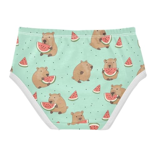 Wusikd Cute Capybara Girls' Underwear Cotton Watermelon Girls Briefs Soft Toddler Underwear 2T2