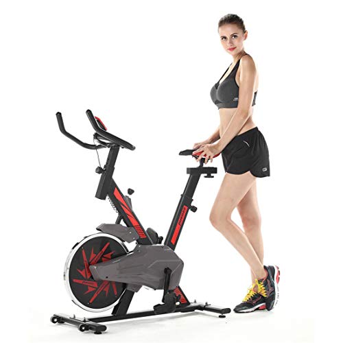 Indoor Spinning Bicycle Ultra-Quiet Exercise Bike Home Bicycle Sports Fitness Equipment,Shipped from The