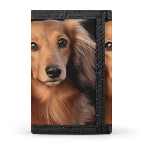 Long Haired Dachshund Trifold Wallet, Card Cases And Money Oganizer Thin Stylish Mini Coin Bag with Zipper Coin Pocket Credit for Men And Women