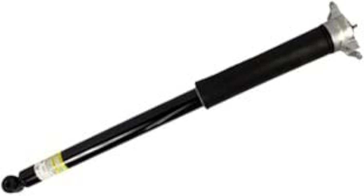 Motorcraft - Shock Absorber Asy (P) (ASH25817)