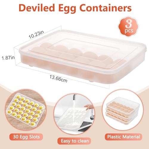 Plateau de rangement transparent pour œufs : protégez et décorez vos œufs de Pâques - 3