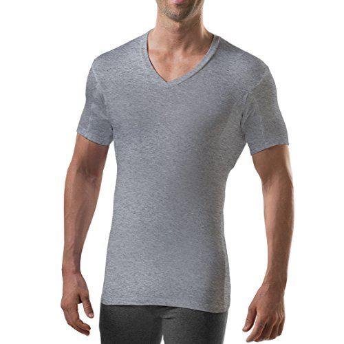 The Thompson Tee Thompson Tee With Sweat Pads Slim Fit Vneck, Rayon From Bamboo, Heather Grey, X-Large