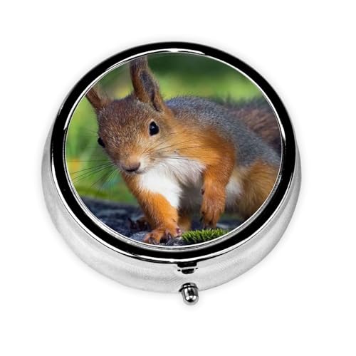 sP[X gїp P[X   ݖYh~ sP[X 킢 X ώ ۂ  w sɂ₳s{bNX