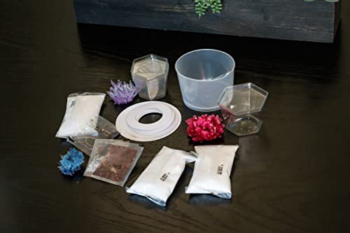 4M Crystal Growing Science Experimental Kit - 7 Crystal Science Experiments With Display Cases - Easy Diy Stem Toy Lab Experiment Specimens, Educational Gift For Kids, Teens, Boys & Girls #TOP3