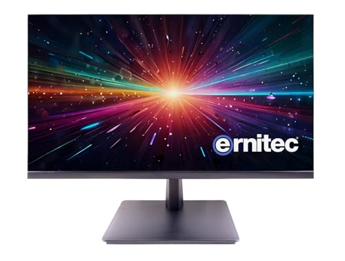 Monitor Surveillance 24"